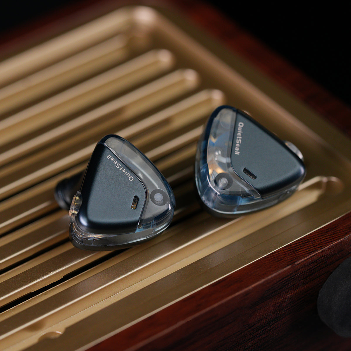 ROSESELSA QuietSea II Dynamic Diaphragm Driver In Ear Monitors, 1DD HIFI Wired Earphones with Module IEM Cable