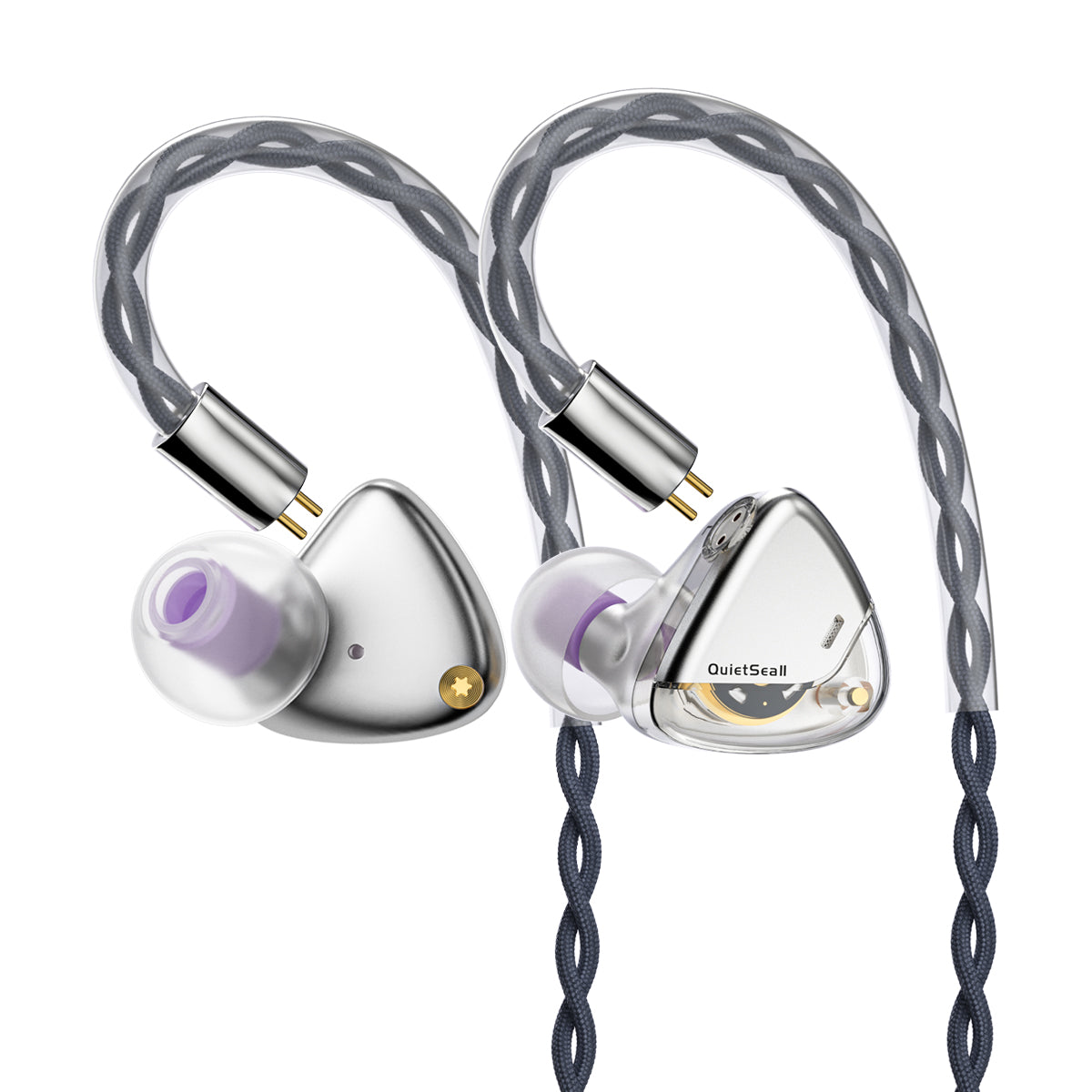 ROSESELSA QuietSea II Dynamic Diaphragm Driver In Ear Monitors, 1DD HIFI Wired Earphones with Module IEM Cable