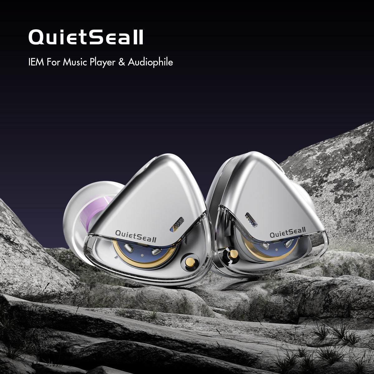 ROSESELSA QuietSea II Dynamic Diaphragm Driver In Ear Monitors, 1DD HIFI Wired Earphones with Module IEM Cable