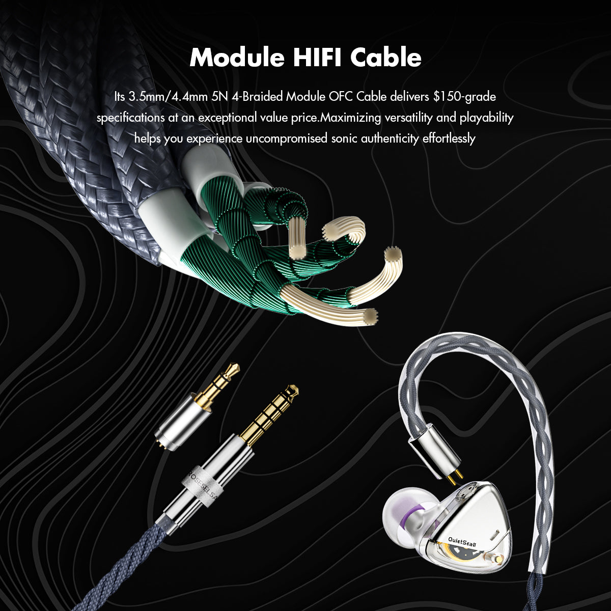 ROSESELSA QuietSea II Dynamic Diaphragm Driver In Ear Monitors, 1DD HIFI Wired Earphones with Module IEM Cable